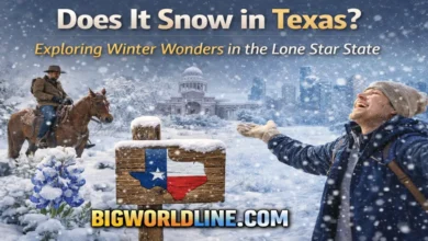 Does It Snow in Texas? Exploring Winter Wonders in the Lone Star State 6 Does It Snow in Texas