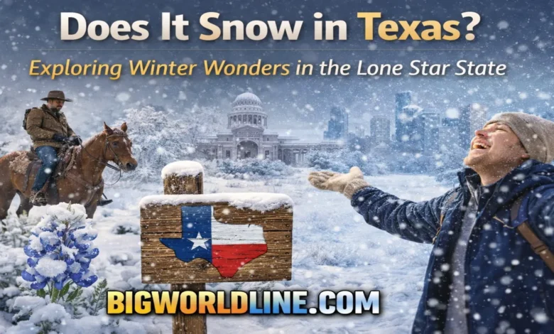Does It Snow in Texas? Exploring Winter Wonders in the Lone Star State 2 Does It Snow in Texas