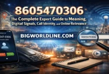 8605470306: The Complete Expert Guide to Meaning, Digital Signals, Call Identity, and Online Relevance 1 8605470306