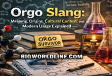 Orgo Slang: Meaning, Origins, Cultural Context, and Modern Usage Explained 4 Orgo Slang