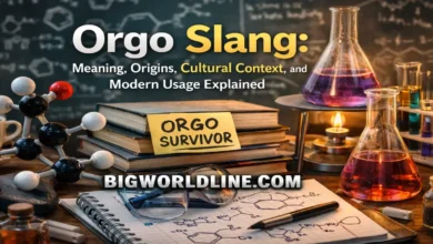 Orgo Slang: Meaning, Origins, Cultural Context, and Modern Usage Explained 4 Orgo Slang
