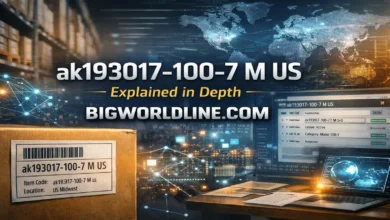 ak193017-100-7 M US Explained in Depth 8 ak193017-100-7 M US