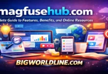 magfusehub com: Complete Guide to Features, Benefits, and Online Resources 5 magfusehub com
