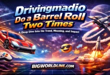 Drivingmadio Do a Barrel Roll 2 Times: A Deep Dive Into the Trend, Meaning, and Impact 5 Drivingmadio Do a Barrel Roll 2 Times