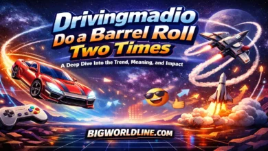 Drivingmadio Do a Barrel Roll 2 Times: A Deep Dive Into the Trend, Meaning, and Impact 10 Drivingmadio Do a Barrel Roll 2 Times