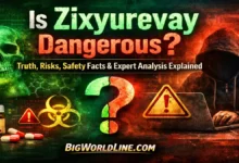 Is Zixyurevay Dangerous? Truth, Risks, Safety Facts & Expert Analysis Explained 4 Is Zixyurevay Dangerous
