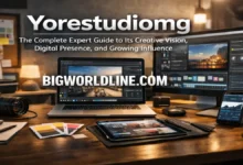 Yorestudiomg: The Complete Expert Guide to Its Creative Vision, Digital Presence, and Growing Influence 4 yorestudiomg