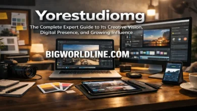 Yorestudiomg: The Complete Expert Guide to Its Creative Vision, Digital Presence, and Growing Influence 2 yorestudiomg