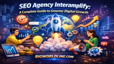 Seo Agency Interamplify: A Complete Guide to Smarter Digital Growth 3 Seo Agency Interamplify