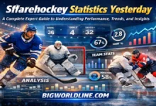 Sffarehockey Statistics Yesterday: A Complete Expert Guide to Understanding Performance, Trends, and Insights 4 Sffarehockey Statistics Yesterday