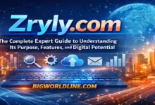 Zryly.com: The Complete Expert Guide to Understanding Its Purpose, Features, and Digital Potential 4 Zryly.com