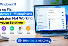 How to Fix Windows 11 Microphone Permission Not Working: 10 Proven Solutions 5 Windows 11 microphone permission not working