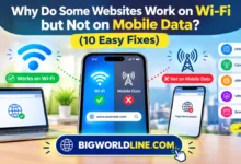 Why Do Some Websites Work on Wi-Fi but Not on Mobile Data? (10 Easy Fixes) 4 website works on Wi-Fi but not mobile data